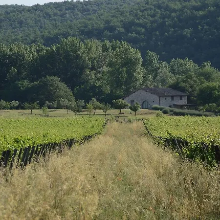 度假居 La Torre 卡斯德尔诺沃贝拉登卡